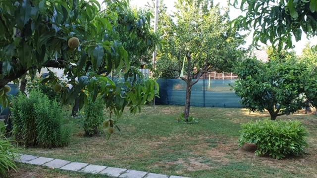 Ilona Apartmanok Balatonboglár Eksteriør bilde